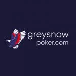 GreySnow Casino logo
