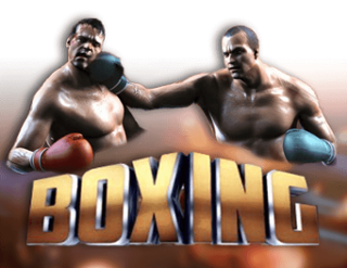 Boxing Free Play in Demo Mode 
                        by Gameplay Interactive