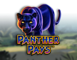 Panther Pays Free Play in Demo Mode 
                        by Rarestone gaming
