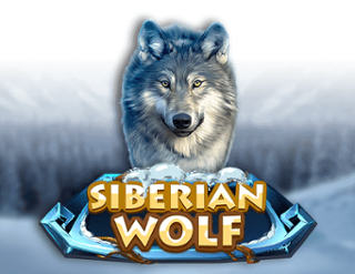 Siberian Wolf Free Play in Demo Mode 
                        by Red Rake Gaming