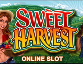 Untitled Game