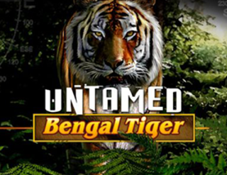 Untitled Game