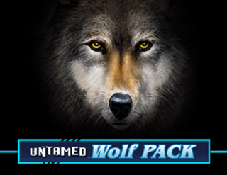 Untitled Game