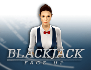 BlackJack 21 FaceUp 3D Dealer Free Play in Demo Mode 
                        by Casino Web Scripts