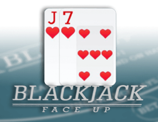 BlackJack 21 FaceUp Free Play in Demo Mode 
                        by Casino Web Scripts