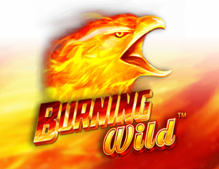 Burning Wild Free Play in Demo Mode 
                        by Novomatic