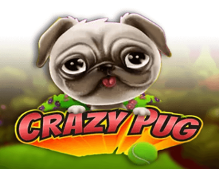 Crazy Pug Free Play in Demo Mode 
                        by Swintt
