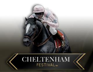 Virtual! Horse Racing at Cheltenham Festival Free Play in Demo Mode 
                        by Playtech