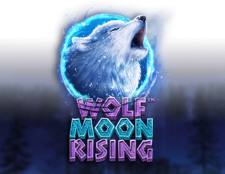 Wolf Moon Rising Free Play in Demo Mode 
                        by Betsoft Gaming