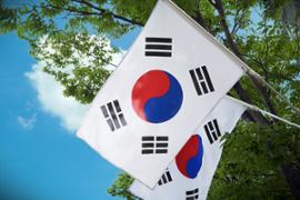South Korea to crackdown illegal sports streaming and gambling