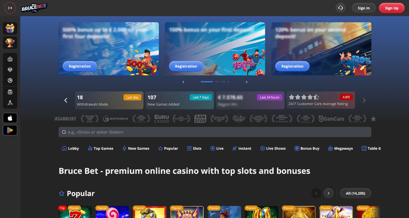 Zrzut ekranu BruceBet Casino