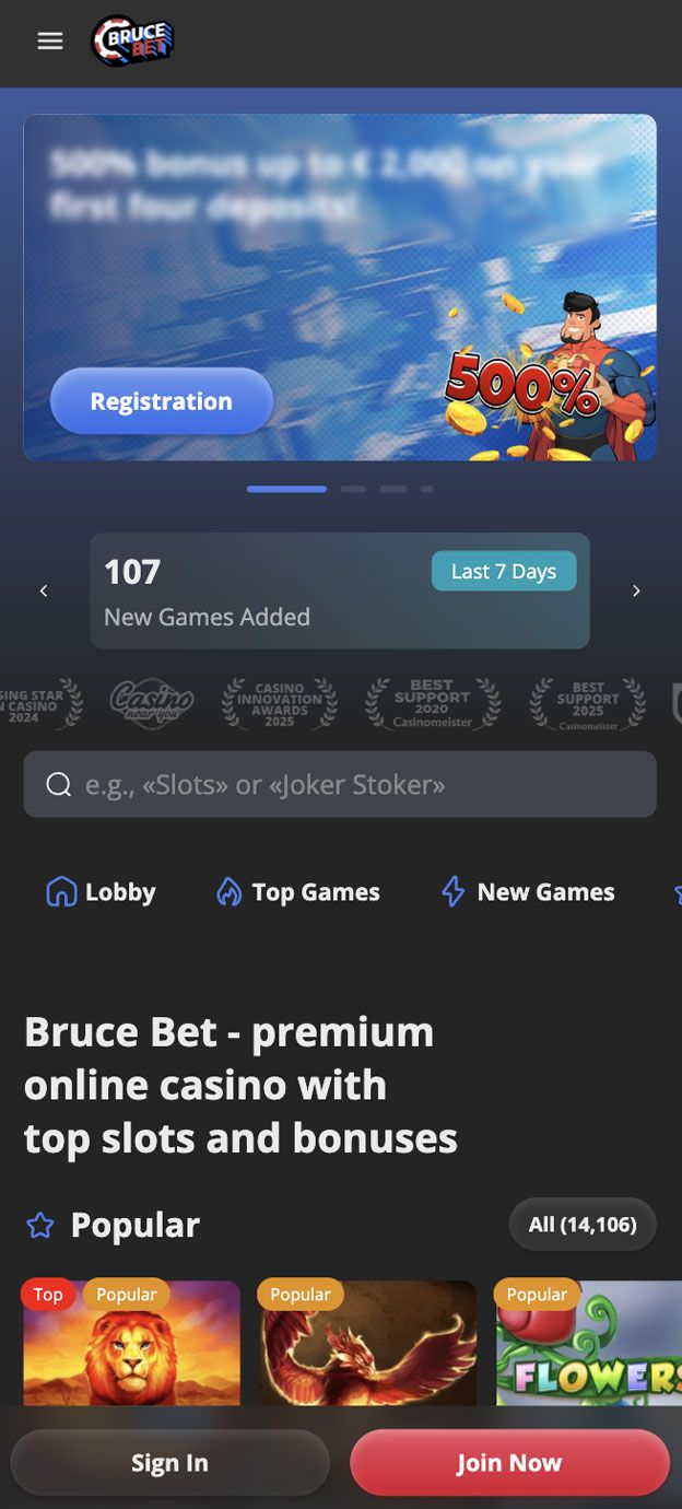 Zrzut ekranu BruceBet Casino