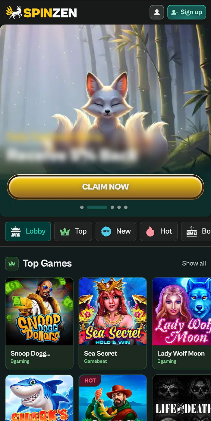 Zrzut ekranu New Spinzen Casino
