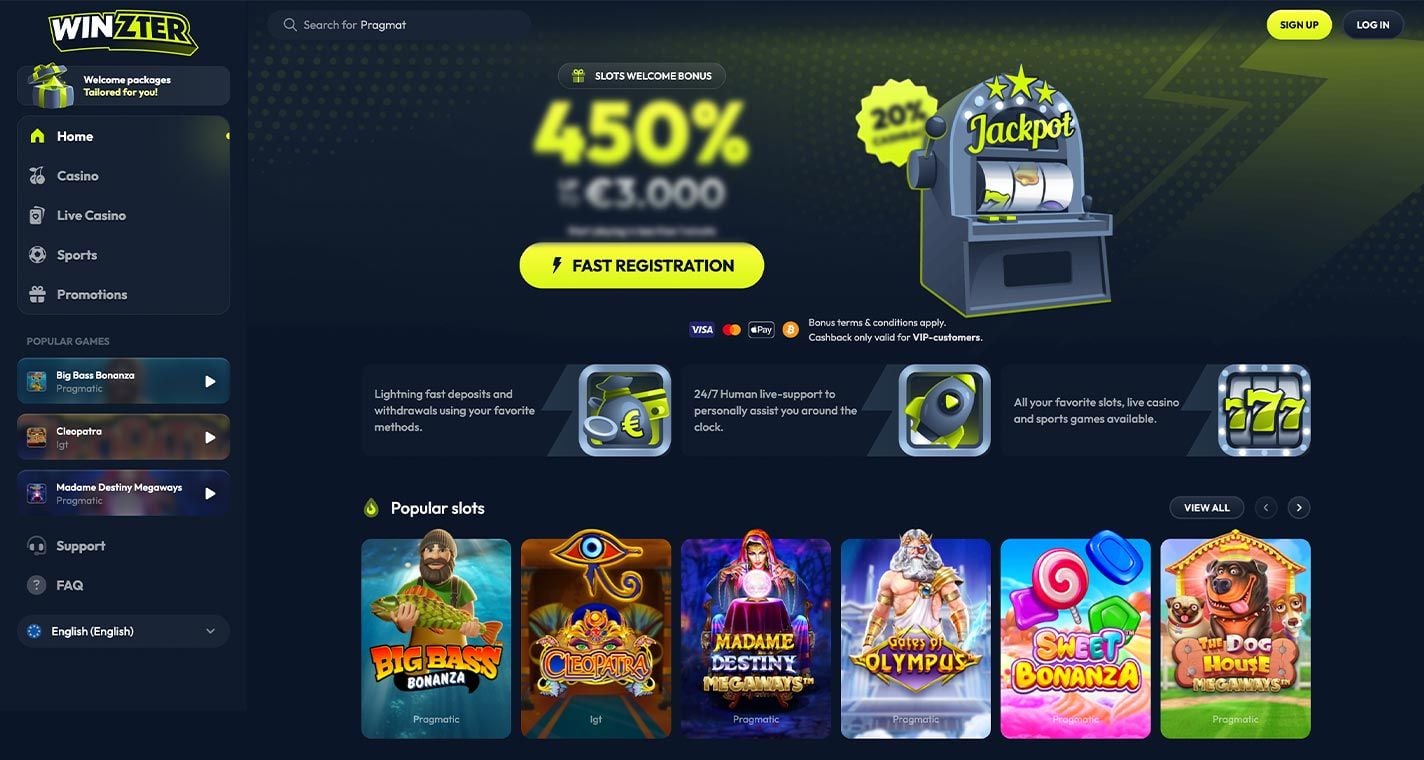 Zrzut ekranu New Winzter Casino
