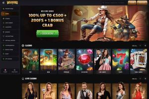 Zrzut ekranu Wildsino Casino
