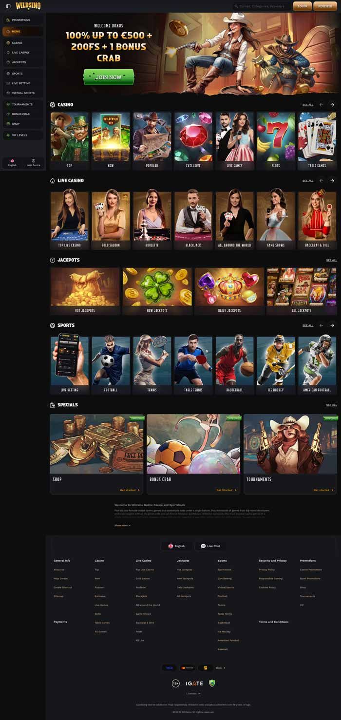 Zrzut ekranu Wildsino Casino