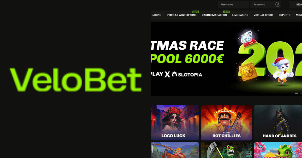 Wazbee Casino vs Velobet Casino: Comparación para Jugadores en España