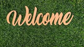 DraftKings launches the Golden Nugget online casino experience in Ontario. - Casino News Thumbnail