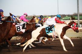FanDuel launches exclusive promotions for the 2025 Kentucky Derby.
