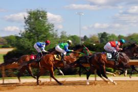 Frankie Dettori Appointed as Global Racing Ambassador for Stake - Casino News Thumbnail
