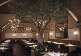 Mohegan Sun Expands Dining Options with Four New Culinary Concepts - Casino News Thumbnail