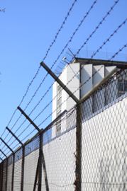 Nearly 100 Chinese nationals arrested over online gambling, fraud in Myanmar