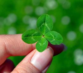 Un homme du Michigan remporte son deuxième jackpot Fantasy 5