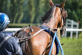 Britansko tijelo za konjske utrke s oduševljenjem prihvaća Lorda Allena kao svog novog predsjednika. - Casino News Thumbnail