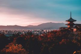 W 2024 roku kibice sportowi w Japonii obstawili nielegalne zakłady na łączną kwotę 45 miliardów dolarów. - Casino News Thumbnail