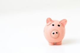 NCPG выделила пять грантов на общую сумму 192 000 долларов США.