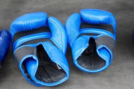 NetBet och Fight Disciples etablerar nytt partnerskap - Casino News Thumbnail